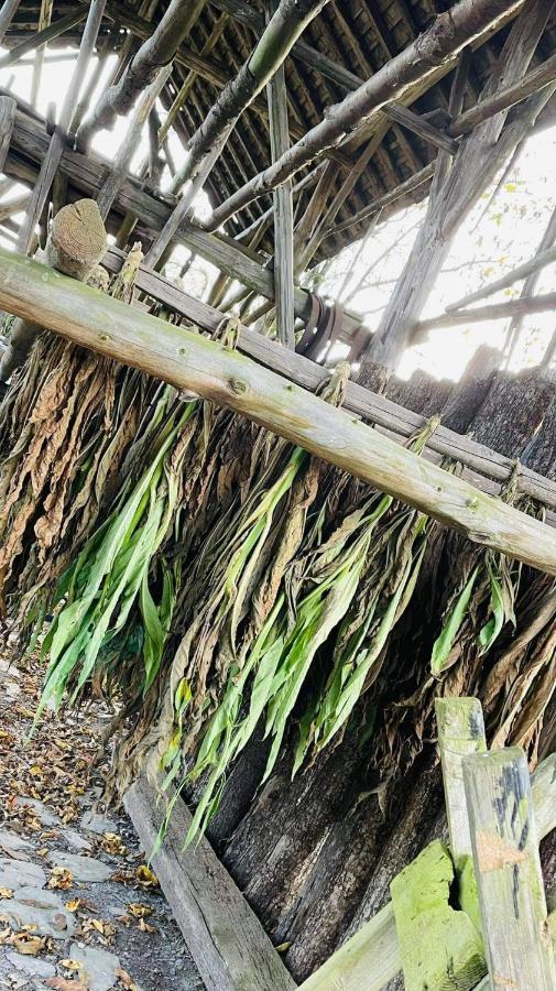 La Maison Des Marguerites ヴレス・シュル・スモワ エクステリア 写真